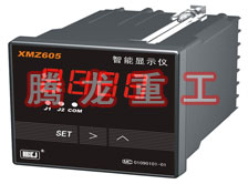 溫度表、數(shù)字顯示儀、濕度表