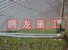 大棚花卉供暖設(shè)備、大棚卉采暖設(shè)備、大棚花卉取暖設(shè)備