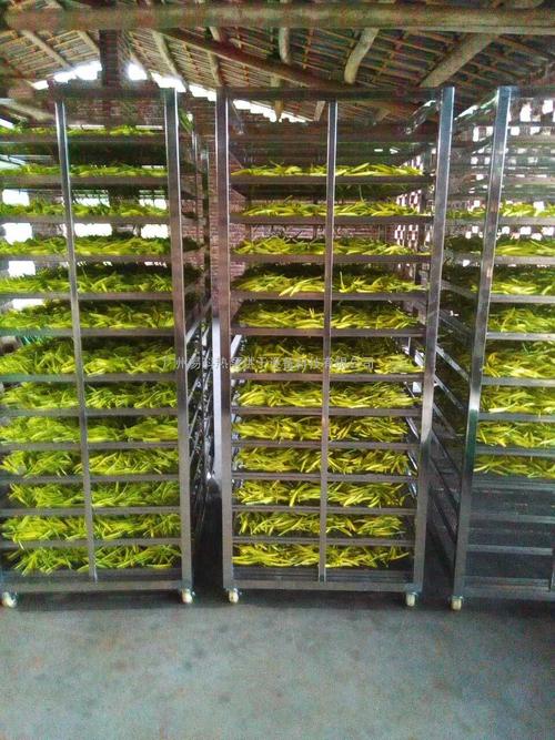 黃花菜烘干機(jī)、黃花菜烘干設(shè)備、黃花菜干燥機(jī)、黃花菜干燥設(shè)備、